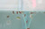 A.D.P. UTH Fish Food Fresh Eggs Fairy Shrimp (250000+Egg) 3 g. Best Tropical Fish Food Grow Faster & Color Enhancer Slow Sinking Like Pellets High Protein 64% for All Small Baby Fry Newborn Fish Feed