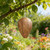 Wasp Trap 4-Pack-Attract & Trap Wasps, Hornets, Yellow Jackets; Protect Patio, Garden, Yard; Reusable, Weather-Resistant, Safe for Family/Pets; Easy Hang & Maintain.