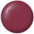 Lipstains Gold All-In-One Lipstick - Super Rich Conditioning Ingredients, Amazing Staying Power, Smudge Proof and a Diverse Color Range - From the UK (Sweet Apricot)