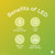 GE LED+ A19 Dusk to Dawn LED Light Bulbs, Automatic On/Off Outdoor Security Light, Soft White (2 Pack)