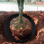 20ft x 24in x 60mil Tree Root Barrier for Landscaping & Protect Roads | Bamboo Barrier Heavy-Duty Root Blocker Rhizome Control Barrier