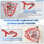 Happy Tree (10 Pack) Red Fire Sprinkler Head Guard Cover Cage for Both 1/2" & 3/4" Fire Head for Protecting Flush Mount & Side Wall & Pendent Head Semi - Recessed fire Sprinkler Covers