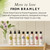 BRAMLEY Hand Wash, 250ml | Lavender, Geranium & Petitgrain Essential Oils | Natural Hand Wash with 100% Natural Fragance | Liquid Hand Soap | Vegan and Cruelty Free | Gift | Green living | Gift