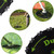 Dunhil 2 Pack Metal 9 inch 36T Brush Cutter Blade for Weed Eater, Cutter, Trimmer with 2 Set Adapter Kits