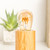 Grensk E26 25 Watt Amber LED Light Bulbs,Vintage Edison Bulb for Decorative