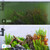 SEAOURA Quiet Internal Aquarium Filter 100GPH Water Pump for 5-15 Gallon Fish Tanks Aeration System