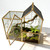 YYFWND Ready-to-Use Glass Terrarium with Vents - 8.66"x4.72"x8.46" House-Shaped Jumping Spider Enclosure, Habitat for Praying Mantis, Snails, Insect or Succulent Plants - Home Garden Tabletop Decor