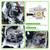 1143 120 0616 Carburetor for Stihl Chainsaw MS291 MS261 MS271 Replace# C1Q-S252 1141-120-0606, with Air Filter Tune Up Kit