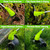 Electric Weed Wacker Cordless, 3-in-1 Wheeled 2.0Ah Battery 3 Blades, Green