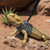Classicseali 3 Pack Bearded Dragon Harness,3 Size Adjustable Soft Bearded Dragon Leash and Harness Set with Retractable, Lizard Leash for Small Animal Outdoor Walking(S, M, L)