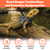 Classicseali 3 Pack Bearded Dragon Harness,3 Size Adjustable Soft Bearded Dragon Leash and Harness Set with Retractable, Lizard Leash for Small Animal Outdoor Walking(S, M, L)