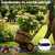 Housolution Plant Caddy with Wheels, Heavy Duty Plant Dolly for Big Pots