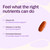 New Chapter Every Man's One Daily 55+ Multivitamin, 48 Tablets