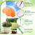 POILKMNI 4 Pack 2026 Upgraded Plant Umbrellas for Outdoor Plants - 25" Enlarged Garden Plant Umbrella Shade with Adjustable Angle, 43.3" Higher Sun Shade for Plants, Garden Beds, Potted Plant