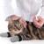 4 PCS Cat Mittens to Prevent Scratching, Adjustable Cat Booties to Prevent Scratching, Breathable Mesh Shoes, Prevent Scratches, Suitable for Bathing, Feeding and Nail Trimming (Grey)