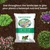 GreenView Multi-Purpose Fertilizer NPK 10-10-10, 33 lb. Covers 3300 sq. ft.