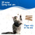 Cat Dancer Interactive Cat Toy - Fun and Fitness for Your Furry Friend - Engaging Paper Roll Attached with 30 Inches Flexible Spring Steel Wire for Playful Cats – 3 Pack