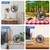 Fanspex 6" Small USB Desk Fan for Home Office Bedroom Desktop, Black