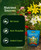 FoxFarm Happy Frog Cavern Culture Bat Guano Fertilizer - 1-12-0 Blend of Rock Phosphate, Seabird Guano for Bud and Flower Development - Encourages Delicious Tasting Fruits & Vegetables - 4 lb
