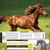Qouinuey 6 Pack Equine Paste 1.87% – 6.08g Each Apple Flavored Oral for Horse