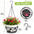 LiliGloris 2 Pack Metal Plant Hanger with Ceiling Hook – Heavy Duty Rustproof Hanging Plant Basket for Indoor Outdoor Use,Modern Black Planter Flower Pot Holder for Balcony (2, Black)