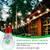 Qualilux Dusk to Dawn Light Bulbs, Auto On/Off Light Sensing LED Bulbs Outdoor, Daylight, Small A15 4-Pack, 5W 450LM 40W Equivalent, HQ-H031