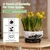 Hemoton Lotus Bowl Planter with Base, Ceramic Water Plant Pot, Indoor Bonsai Bowl Lotus Flower, Hydroponic Planter for Water Lily, Aquatic Plants, Lilies, and Succulents, Glazed Vase for Lotus Seeds