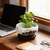 Hemoton Lotus Bowl Planter with Base, Ceramic Water Plant Pot, Indoor Bonsai Bowl Lotus Flower, Hydroponic Planter for Water Lily, Aquatic Plants, Lilies, and Succulents, Glazed Vase for Lotus Seeds