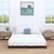 Nailsong 4 Inch Bed Frame Queen Size, Queen Bed Frame Low Profile