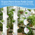 12 Pcs, Caps Compatible with Gardyn yPod Hydroponic System