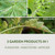 Garden Safe Neem Oil Extract Concentrate, For Organic Gardening, Fungicide, Insecticide, Miticide, Neem Oil For Plants, 10 fl Ounce