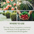 Garden Safe Neem Oil Extract Concentrate, For Organic Gardening, Fungicide, Insecticide, Miticide, Neem Oil For Plants, 10 fl Ounce