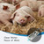 Automatic Livestock Waterer Drinking Trough Large Dog Water Bowl Dispenser 3 Gallon Stainless Steel with Float Valve for Cattle Chicken Goat Horse Pigs Poultry Outdoor Animals