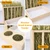 BESNEW 3 in 1 Rabbit Hay Feeder with Litter Box,Wooden Hay Feeder with 2 Bowls & Litter Box for Guinea Pig Chinchilla Bunny Other Small Animals,Large Capacity & Preventing Waste