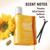 Sttes Perfume 602# (Irresistible Sunshine) -2 Pack- Eau de Perfume 2 * 100ml (3.4fl oz) Vanilla Gourmet Tune (Caramel Vanilla Flavor)