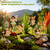Fairies for Fairy Garden 6Pcs - Mini Garden Fairies Miniature Figurines