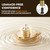 304 Stainless Steel 4" RV Outdoor Shower Valve Kit,Lead-Free Explosion-Proof Camper Shower Faucet,2-Way Quick Connect Diverter with Filter for Trailer Exterior,Brushed Gold,RVF01-BG