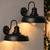 RIIGOOG Solar Barn Lights for Outside, Dusk to Dawn Gooseneck Wall Sconces