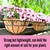 LaLaGreen Wall Hanging Planter, 2 Pack, 12 Inch Wall Mounted Flower Basket with Coco Liner for Outdoor Plants, Black Metal Wire Rail Herb Pot Holder Fence Railing Deck Porch Balcony Garden Patio Decor