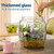Daitouge 2.5 Gallon Glass Jars with Lids, Wide Opening Large Jar, 1 Pack