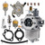 JRbuid 15003-2589 Carburetor Fit for Kawasaki Mule 500 520 550 KAF300 KAF300A KAF300B KAF300C KAF300D Replace for 11009-2939 11060-2334 With Fuel Pump