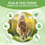 Cat Flea and Tick Chewables for Cats 230Ct, Natural Support Supplement, Flea Supplement for Cats, Flea and Tick Chews for Cats Kitten, All Breeds & Sizes, Digestive Health