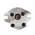 Mini Hydraulic Gear Pump, 6ml/r 3200rpm Flat Key Shaft, 21MPa Pressure SAE Flange Mount SP Series Gears for Machinery