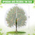 Vincreem 1 Pcs Large Fruit Tree Netting 20 X 16.4 Ft with Zipper Drawstring