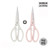 Dorco My Chef Pastel Basic Scissors 100S [1+1] (Color Random) / 도루코 마이셰프 파스텔 베이직가위100S [1+1] (색상랜덤)