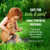Mighty Mint Peppermint Oil Ant Killer Spray, 16 oz, Pack of 2