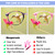 NORPERWIS 5 Pairs Reading Glasses - Standard Fit Spring Hinge Readers Glasses for Men and Women (Multicolor, 4.0, x)
