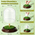 DarSeity Golf Ball Display Case with LED Lighting, Hole-in-One Golf Clear Glass Souvenir Stand with Wooden Base, Golf Ball Holder for Souvenirs & Collectibles (for 1 Golf Ball)