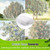 10 X 14FT Large Fruit Tree Netting for Protecting Fruit from Squirrels Birds Bug Pests, Tree Net for Fruit Trees with Zipper and Drawstring Bird Netting Covers for Blueberry Cherry Peach Apple Bushes