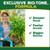 Espoma Organic Holly-Tone 4-3-4 Natural & Organic Evergreen & Azalea Plant Food; 36 lb. Bag; The Original & Best Fertilizer for All Acid Loving Plants Including Rhododendrons & Hydrangeas